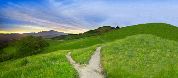 gravel path in grassy hills